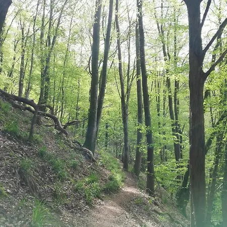 Casa vacanze Le Saint Urbain Nollevaux