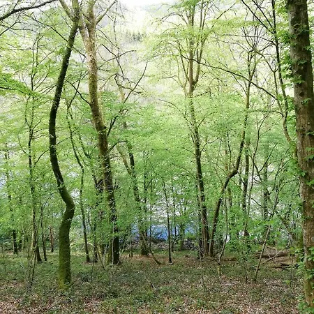 Le Saint Urbain Casa vacanze *