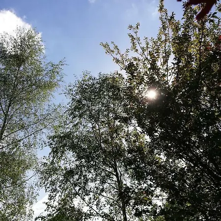 Le Saint Urbain 펜션 *