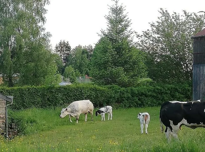 Le Saint Urbain * Nollevaux