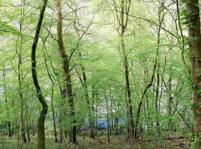 Le Saint Urbain Ferienhaus *